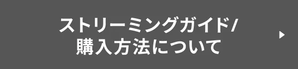 ストリーミングガイド/購入方法について